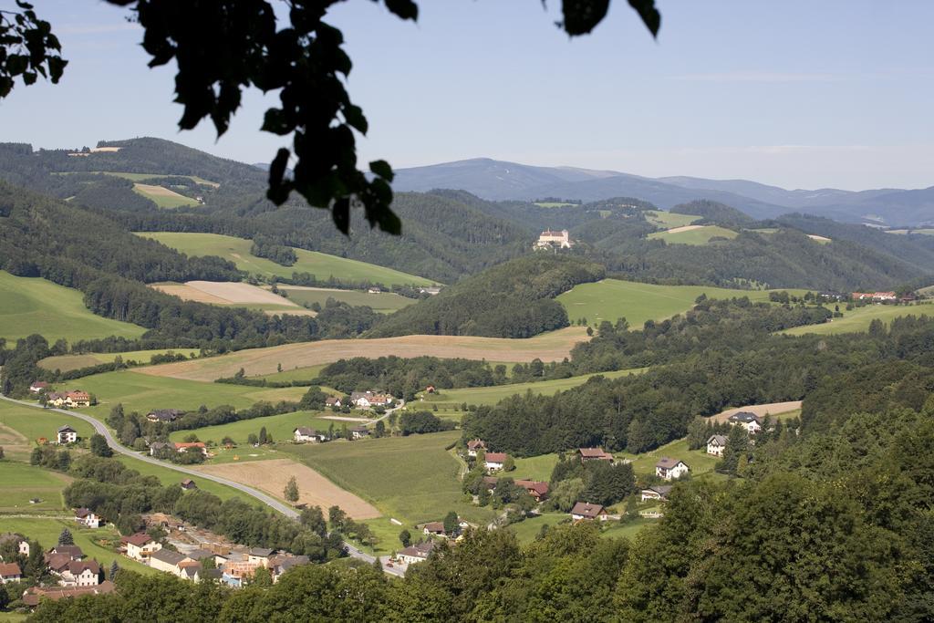Geniesserpension Dopler - Zur Schonen Au Bad Schönau Extérieur photo